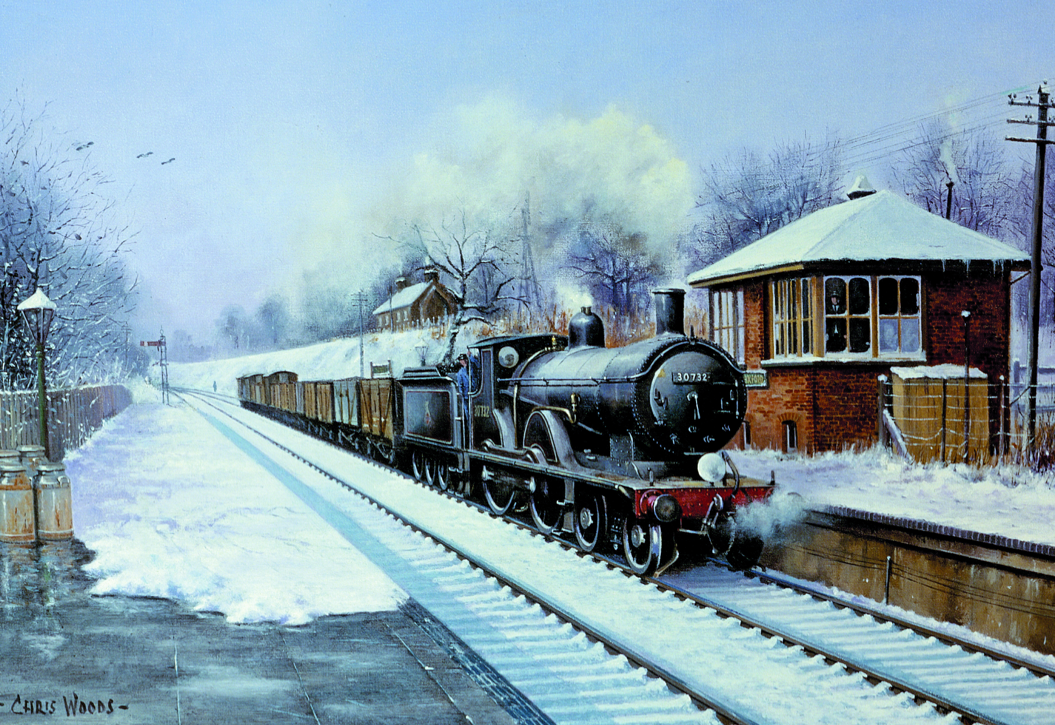 Winter Freight at Droxford with a T9 Class in the Snow