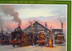 Jigsaw Puzzle: Basingstoke Shed Remembered